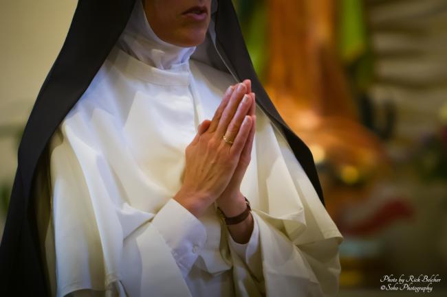 2012 solemn profession