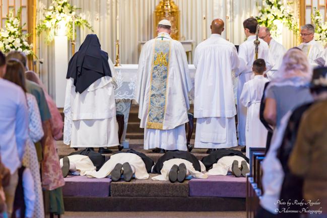 2017 solemn profession